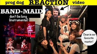 Band-Maid "Don't Be Long" (instrumental) Live in New York    (reaction episode 214)