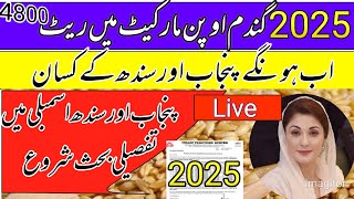 wheat support price 2025/wheat Price in punjab pakistan