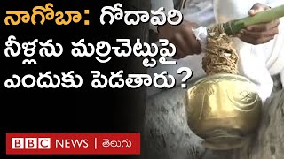 Nagoba Jatara: గోదావరి నీళ్లను మర్రిచెట్టుపై ఎందుకు పెడతారు? నాగోబా జాతర ప్రత్యేకతలు.. | BBC Telugu