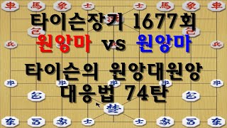 [타이슨장기 1677회] 타이슨의 원앙대원앙 대응법 74탄입니다!!