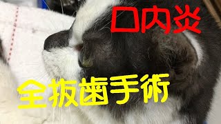 【手術】【口内炎】手術当日のまる