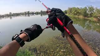 FISH ON MALAKING BIDBID 8 MINUTES ANG LABAN | ESTIMATE 6KG