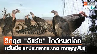 วิกฤต \