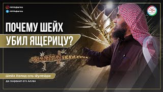 Правда ли, что мусульманам велено убивать ящериц, змей и скорпионов? | Шейх Халид аль-Фулейдж