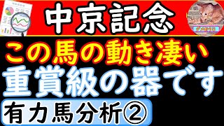 中京記念2022年に出走予定の有力馬を分析！本命候補にできるか考えました