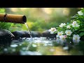 relaxing music for seclusion and peace of mind stop anxiety 🌿 heals the mind deep sleep