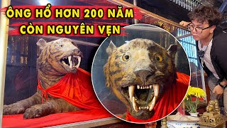 Xác Ông Hổ hơn 200 năm còn Nguyên Vẹn tại chùa Thầy Pháp