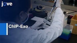 ChIP-Exo for Mapping DNA Interactions in Stem Cell Derived Neurons | Protocol Preview