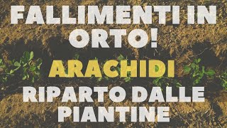 HO FALLITO! (a volte può succedere😒) RIPIANTIAMO LE ARACHIDI!🌱