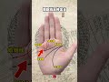 palmistry 八字 手相 國學智慧