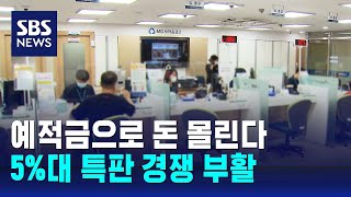 예적금으로 돈 몰린다…5%대 특판 경쟁 부활 / SBS