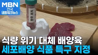 배양육 산업 주도…경북 세포배양 식품 특구 지정 [전국네트워크]