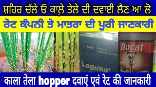 Paddy | hopper | ਕੀ ਤੁਸੀਂ ਸ਼ਹਿਰ ਚੱਲੇ ਓ ਕਾਲ਼ੇ ਤੇਲੇ ਦੀ ਦਵਾਈ ਲੈਣ ਤਾਂ ਆ ਵੀ ਸੁਣ ਲਵੋ ਜਾਂਦੇ ਹੋਏ | PiTiC Live