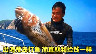 探海合集:阿鋒和朋友們去往荒島打魚，三天兩夜，收獲滿滿，簡直就和撿錢一樣。#探海#海釣#潛水#捕魚