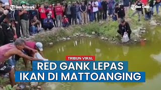 Rayakan Setahun Stadion Dirobohkan, Red Gank Lepas Ikan di Mattoanging dan Gelar Sepak Bola Jalanan