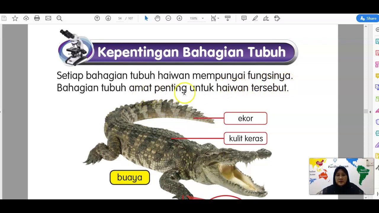 Sains Tahun 1 - Kepentingan Bahagian Tubuh Haiwan - YouTube