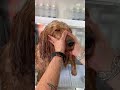 I took my dog to a MASTER Groomer! #goldendoodle #doggrooming #tutorial