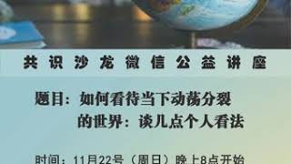 张伦：如何看待当下动荡分裂的世界（共识沙龙微信公益讲座20201122） 上