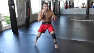 STROOPS Python Striker (パイソンストライカー) Tony Fryklund MMA