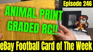 ANIMAL PRINT Graded Rookie For Under $15 for Episode 246 of eBay Football Card of The Week!