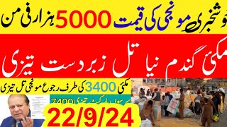 New Munji rates 2024/  Wheat price in punjab//گندم  کا ریٹ 2024/ makki till sarso/Galla super munji