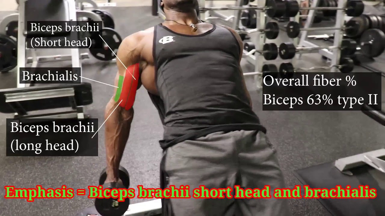 Do These To Build Biceps Peaks Youtube