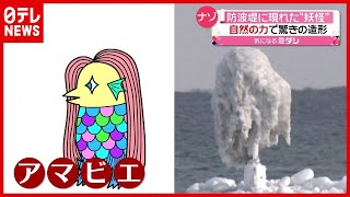 「新型コロナ」オホーツク海に“アマビエ”降臨！？ 自然の力で驚きの造形（2021年2月4日放送「news every.」より）