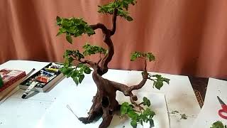 Cara Membuat Replika Bonsai Berbahan Kertas Kawat Dan semen ||Tutorial