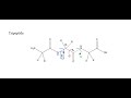 How to draw Newman projection of a polypeptide when Phi angle is given?