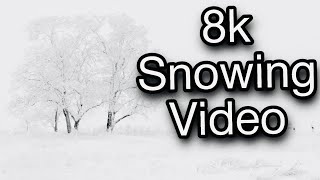 Snow ⛄️ video in 8k 60 fps || nature lover || good vibes