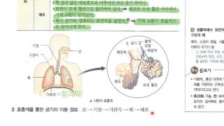 04 호흡