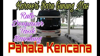 Bus Pahala Kencana Tujuan Denpasar solo Yogya tasik Bandung #busmaniacommunity #pahalakencana