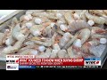 Shrimp Secrets: Federal investigation looking into effect foreign shrimp has on American market