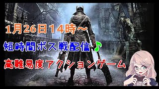 【Bloodborne】短時間ボス戦　血に渇いた獣を倒したい！