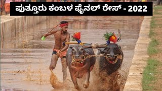 Putturu Kambala Final Race | 20-March-2022 | Namma Kambala