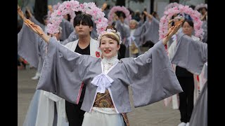 20240824原宿表参道スーパーよさこい2024（横浜百姫隊）【ＨＤ・原画４Ｋ】