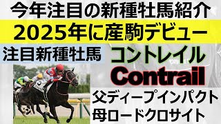 【新種牡馬】25年産駒デビュー「コントレイル」の種牡馬魅力と期待産駒をご紹介☆