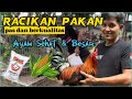 TIPS❗️ CAMPURAN PAKAN AY4M IMPORT 🇵🇭 SOLUSI UNTUK AYAM KURUS ‼️#pakanayam