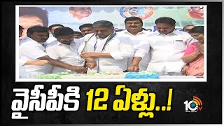 వైసీపీకి 12 ఏళ్లు..! | YSRCP 12th Anniversary Celebrations | TOP20News | 10TV