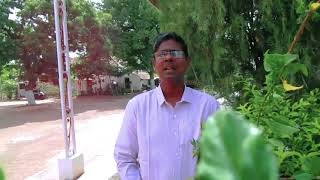 Malaimaa nathiyo|Rev.Dhanaraj Telc palladam