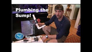 Plumbing the Sump - Part 2 of the 180 build series. Fincasters Episode 177