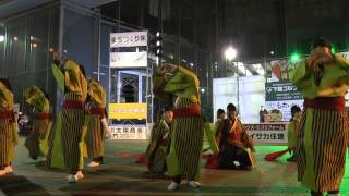 常陸國大子連さん　「愛」　Second Stage 　＜YOSAKOI＞