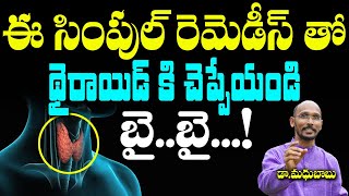 ఈ రెమెడీస్ తో థైరాయిడ్ కి చెప్పేయండి బై ..బై...! | Dr. Madhu Babu | Health Trends |