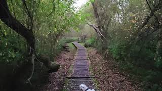 Het GrootBroek - Sint-Agatha-Rode NatuurReservaat Wandeling - Balade Reserve Naturelle du GrootBroek