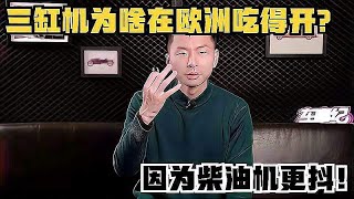 三缸机为啥在欧洲吃得开？因为柴油机更抖！