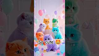 So cute 🥰 new cat dance 💕🥀🐾#new #dance 💕💕🥀