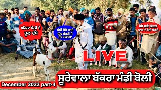 Surewala bakra mandi boli live ਸੂਰੇਵਾਲਾ ਬੱਕਰਾ ਬੋਲੀ ਲਾਈਵ #bakratv #bawagoatfarm #desistudio