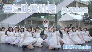 【明治大学Copia】君に叱られた/乃木坂46  踊ってみた