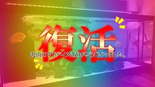 【復活】紅龍２匹が〇〇したら元気になりました。