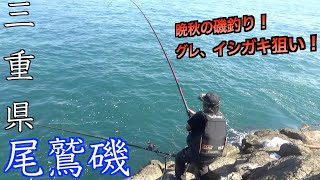 【三重県・尾鷲磯】晩秋の立神の地で、釣友達とワイワイガヤガヤ磯釣りを楽しむ！！最高！！